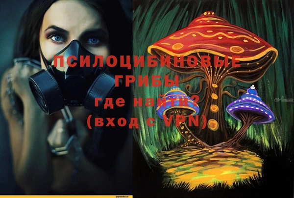 синтетический гашиш Козловка